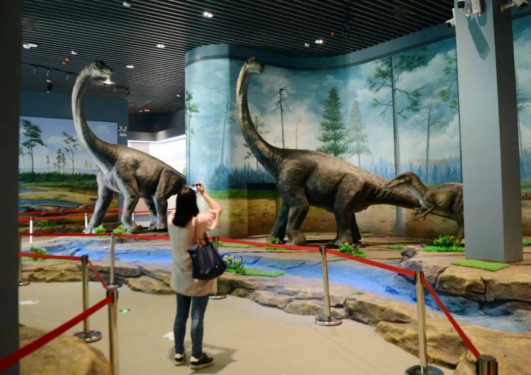延吉恐龙博物馆恐龙化石展厅